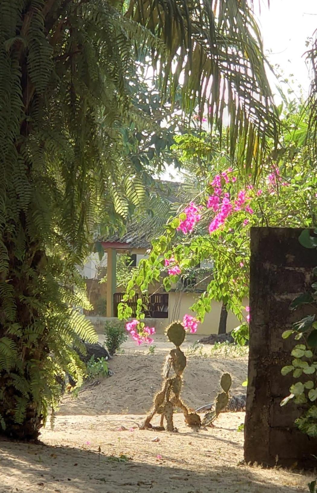 Rundbungalow Auf Lionsrest Grand-Bassam Exteriér fotografie