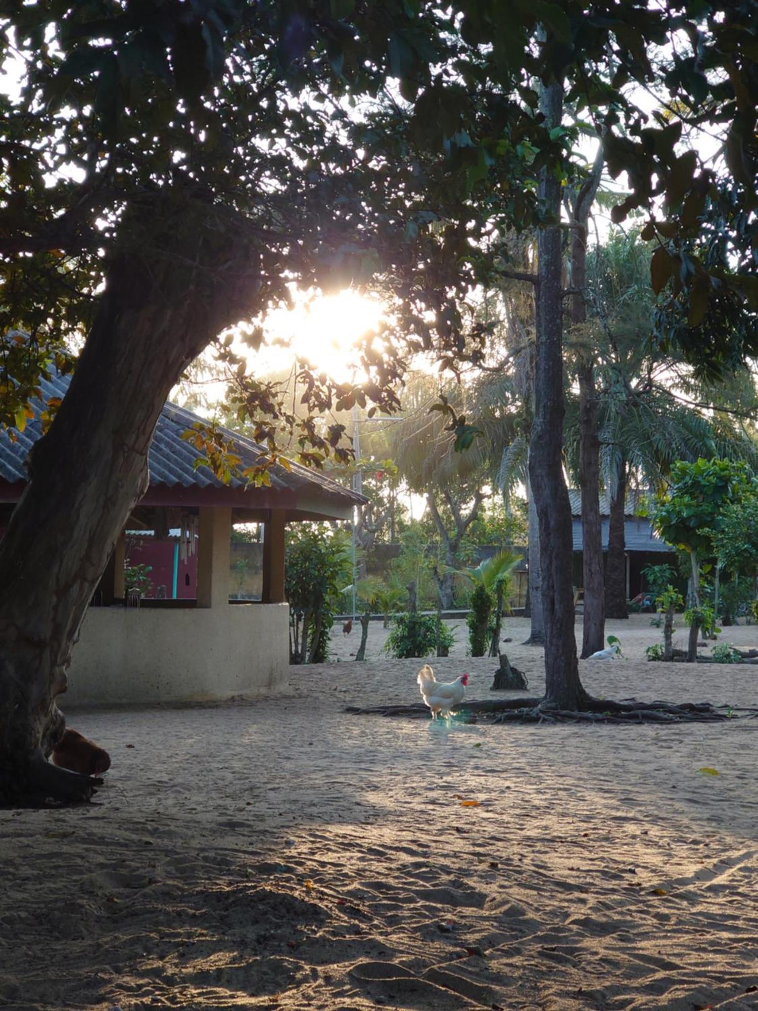 Rundbungalow Auf Lionsrest Grand-Bassam Exteriér fotografie